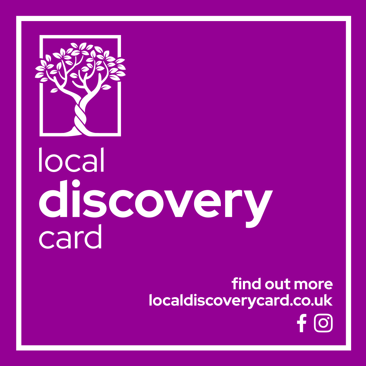 Local Discovery Cards